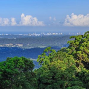 The Prestige Property Magazine - www.prestigepropertymagazine.com - Carinya: a rainforest retreat